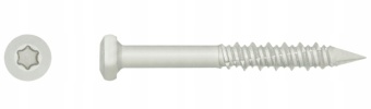 Zdjęcie RAWLPLUG wkręt WBT do betonu i drewna TORX 6.1x240 (100szt)